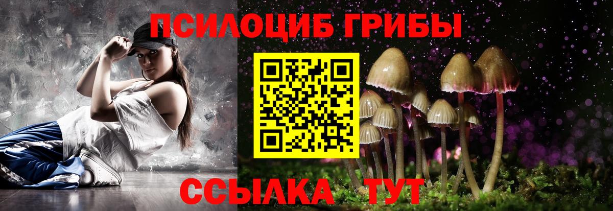 Псилоцибиновые грибы Psilocybine cubensis Химки