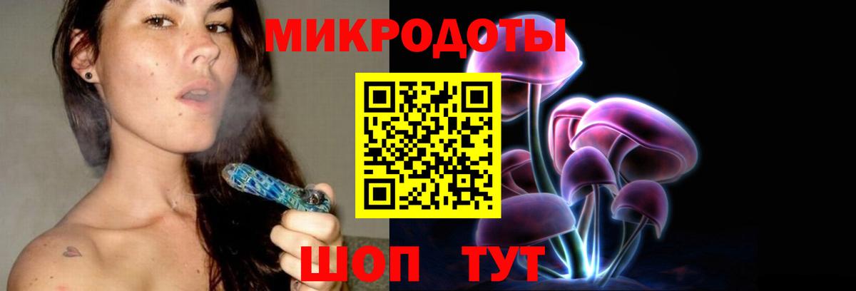 Галлюциногенные грибы Psilocybine cubensis  Вход с VPN  Псилоцибиновые грибы мицелий  Химки 